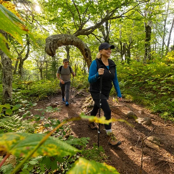 HikersonFraneyMountain